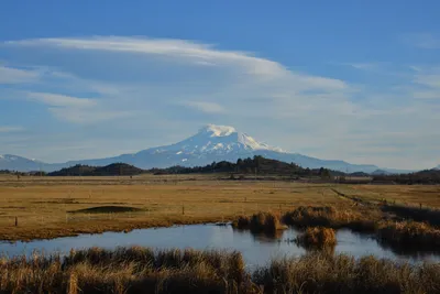 DSC_5995 (Large).JPG